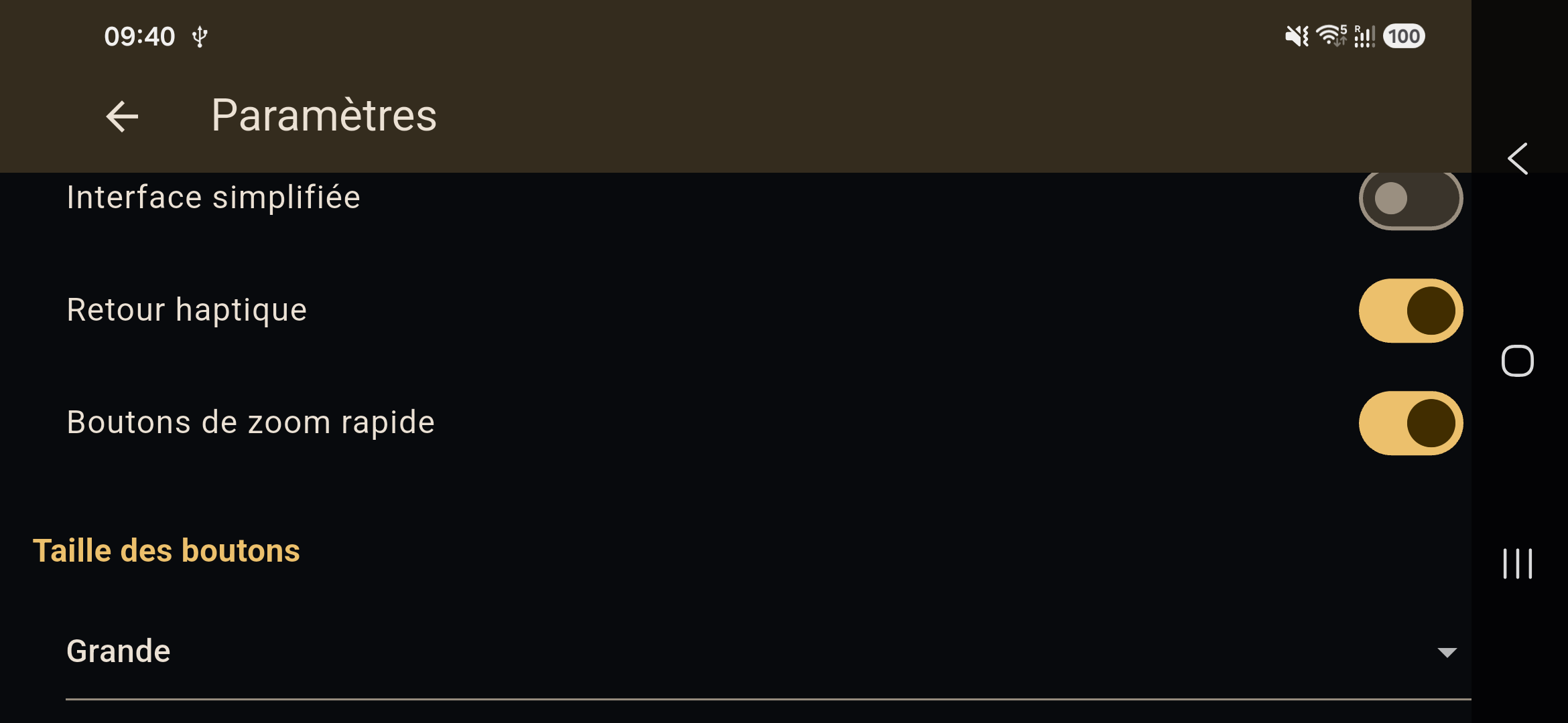 Eazy Magnify accessibility options
